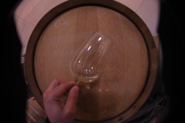 24 Vintage Preview Tasting (no.2)  //   15/08/25 @ 7pm